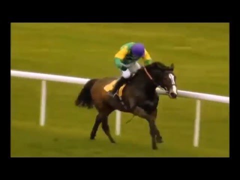 A Tribute To Kauto Star {Keep holding on} RIP