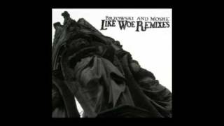 Brzowski & Moshe- Like Woe (j.hjort Remix)