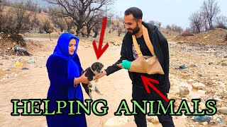 Download lagu The help of a homeless girl and a young boy to help homeless animals shocked the world.😱😱 mp3