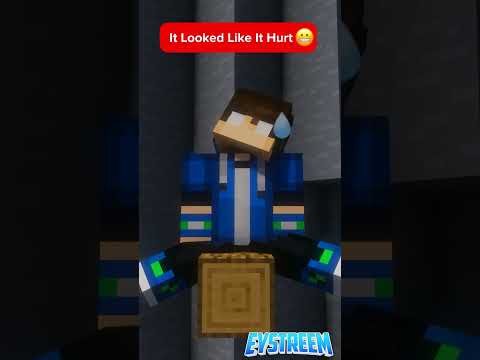 Eystreem Falls But Gone WRONG… / Minecraft Animation