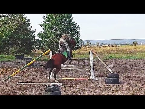 Hubertus 2022 - Przychowa - konkurs potęgi skoku