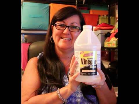 download lagu mp3 mp4 Simply Clean Vinegar Plus, download lagu Simply Clean Vinegar Plus gratis, unduh video klip Simply Clean Vinegar Plus