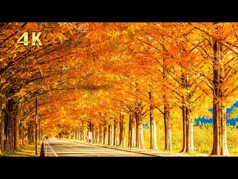 テスト動画ブログ2