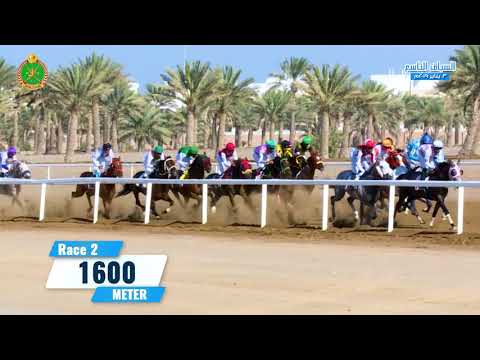 الشوط الثاني - السباق التاسع - الرحبة 03/01/2019 Race 2-9th meeting