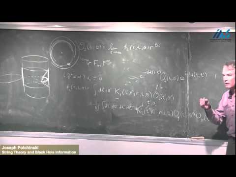 Joseph Polchinski -String Theory and Black Hole Information