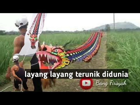 Cara menerbangkan layang lsyang yang terunik di dunia