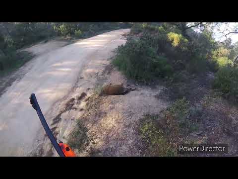 Batuda Can Simón SENGLAR I CABIROL