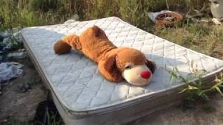 PUP  - Sleep In The Heat (Fanmade Music Video)