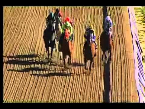 Pimlico 05/23/15 race 9