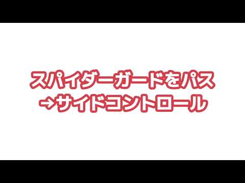 スパイダーガードのパス→サイドコントロール