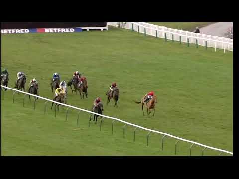 2013 Martin Pipe Conditional Jockeys' Hurdle - Cheltenham Festival