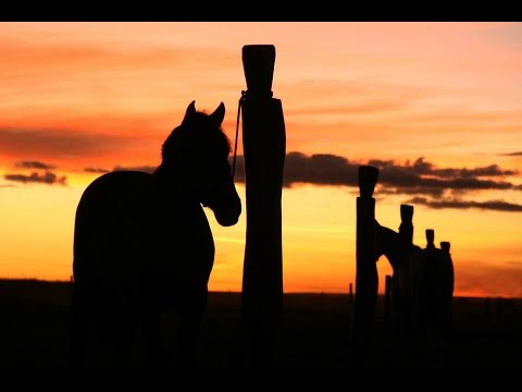 Leopoldo Rassier-Veterano