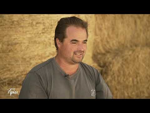 Azienda Agricola Domenico Siciliano (Presentazione)