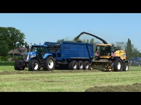 Gras Hakselen 2018 : Joosen / Sprangers / Vaneijck / Claas Jaguar / New Holland / Case / Tatra