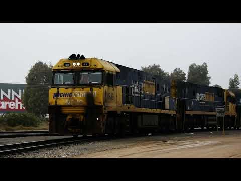 Freight Train (6MP5)