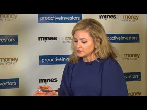 PPX Mining CEO says Igor Project has the potential to be a district-scale project