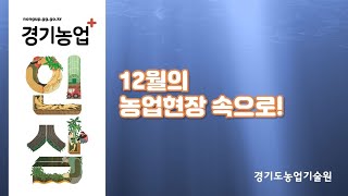 (이달의 농업현장) 12월의 농업현장 속으로!