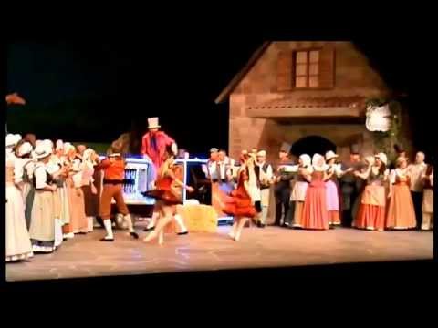 L'elisir d'amore: Dulcamara - Udite... udite... o rustici (Zeljko R. Andric)