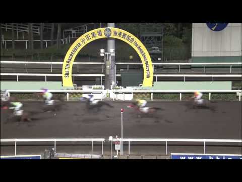 Sight Believer - Karis Teetan