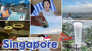 [Vlog] EP.8｜🇸🇬 3주간 싱가포르 마지막 기록｜NUS 마지막 수업｜아시아 3위 칵테일바 ｜두 번이나 방문한 이스트코스트 파크 ｜창이공항 투어｜경기청년 사다리 프로그램