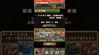 初見のせい 【リベルタス降臨】パズドラ