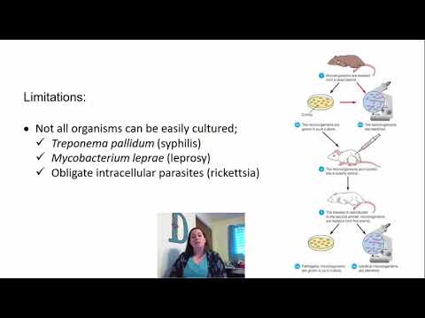 Chapter 14 Principles of Disease