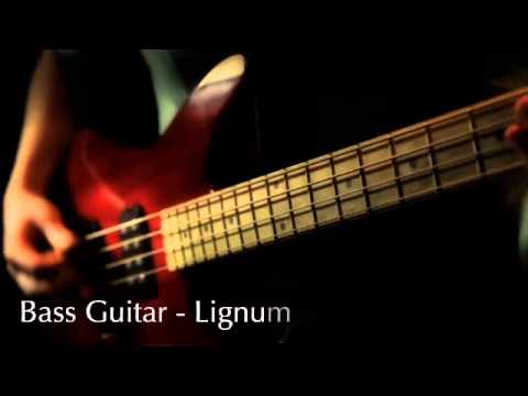 Timber Tones Lignum Vitae on Bass Guitar