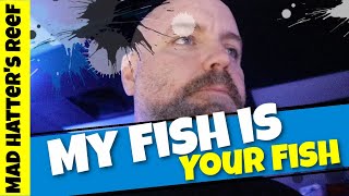 My Fish is Your Fish