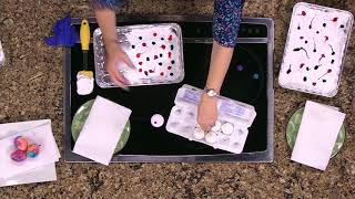 Dyeing Easter Eggs Using Shaving Cream