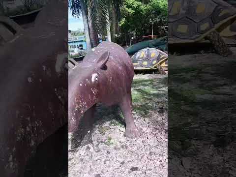 un día de paseo  en puerto triunfo