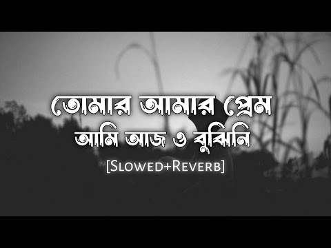 Tomar Amar Prem (তোমার আমার প্রেম) | Slowed & Reverb | Alex Music
