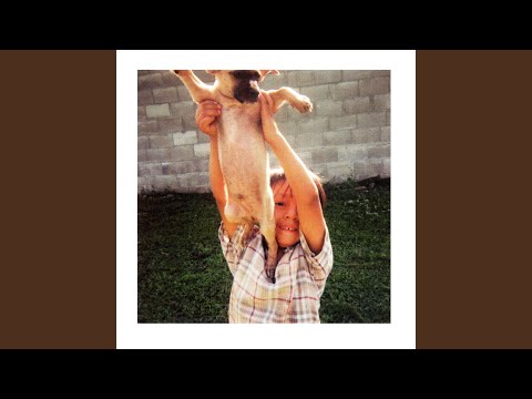 Suitcases for Always - twothirtyeight