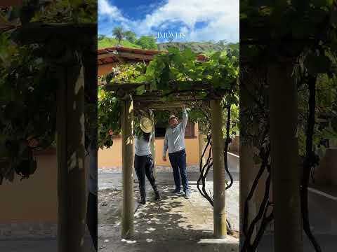 CHÁCARA VENDIDA - Pacas - São Gonçalo do Rio Abaixo/MG - Ref.: 102