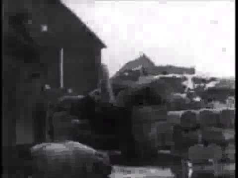 Canadian Army Newsreel   Lincoln and Welland Regiment Attack At Kapelsche Veer