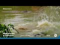 DISCOVERY 31 07 2021 Autopromocja Ident
