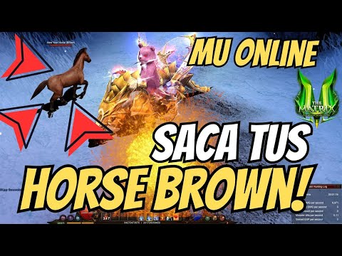 MTM Videos