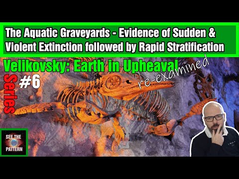 Earth in Upheaval #6: Evidence of Sudden & Violent Extinction followed by Rapid Stratification
