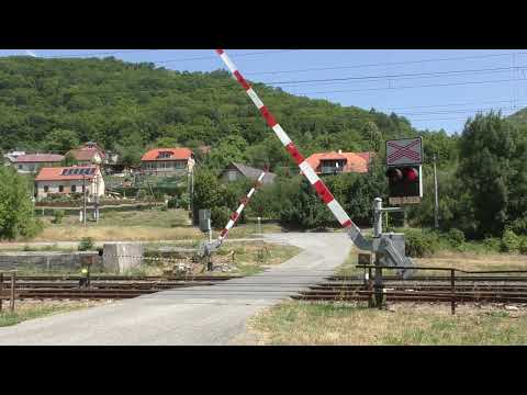 Železničné priecestie Hronská Dúbrava (SK) - 20.7.2022 / Železniční přejezd / Railroad crossing