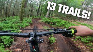 DIE BESTEN TRAILS FÜR ANFÄNGER! Michelstadt Mi1 – Odenwald MTB-Tour // Jordan Hugo