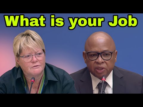 DA Glynnis Breytenbach Grilling Deputy Minister Cassel Mathale: WHAT IS YOUR JOB.