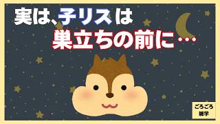 【聞き流し】動物の赤ちゃんのかわいい雑学9選【癒し・女声】