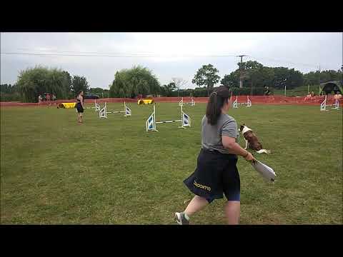 Híves Dorottya-Szilaj családias kezdő verseny