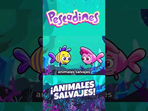 Los animales SALVAJES