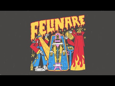 911 x KILLA FONIC - Felinare | Lyrics |