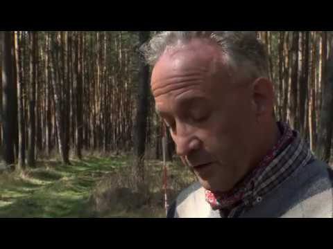 Archäologische Untersuchungen im Waldlager der roten Armee in Hoppegarten bei Müncheberg