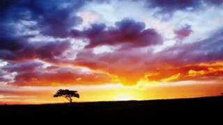 Show your power  by petra