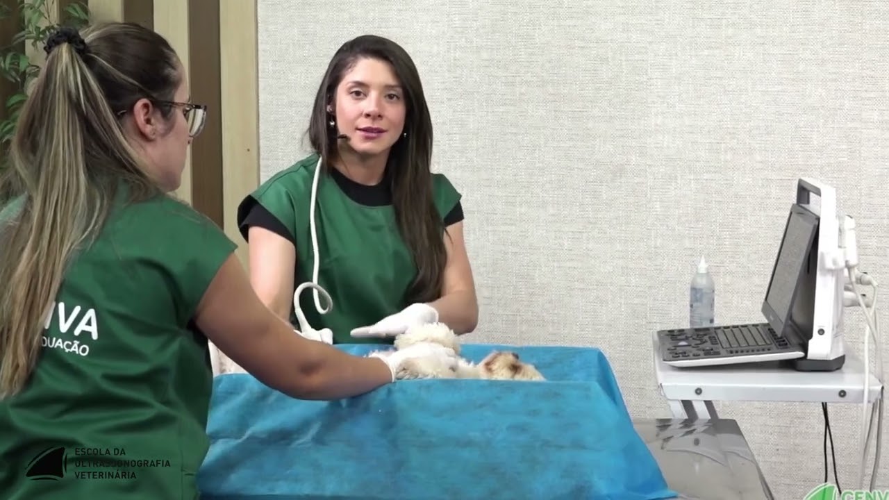Apresentação do Curso de Ultrassom Veterinário