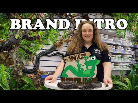 Mad Lizard Brand Introduction #MadLizardReptileRange