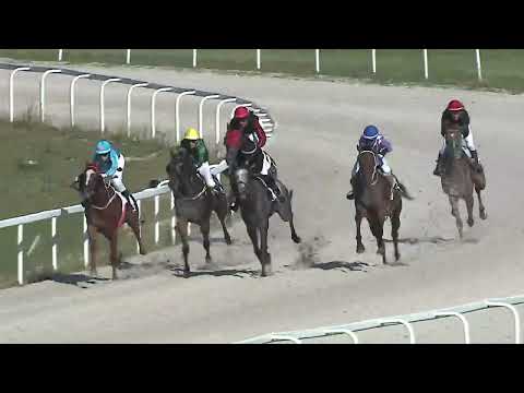 2023.08.13. 6. Futam - NÉMETH FERENC EMLÉKKUPA IV. FUTAMA HENDIKEP (IV.o.)(szintetikus pálya)