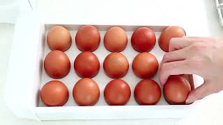 슬라이딩계란보관함/2단서랍/계란한판보관함